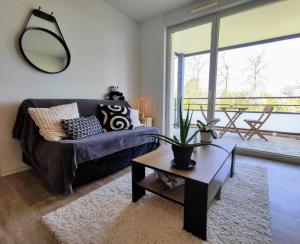 Le Salluste T2 cosy with balcony in Strasbourg