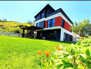 VillaZ Villa Ardeşen