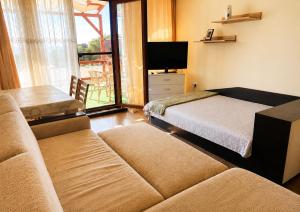Real Day Studio Balchik