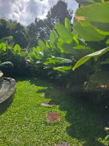 Sunrise Hill Bamboo House-Private Jungle Villa