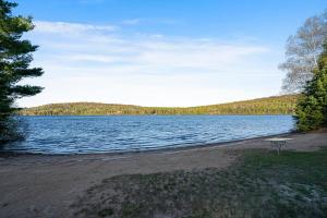 Sandy Shores Cabin on Lake St Peter with Fire Pit and BBQ