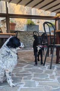 Agripodere il Falco - Tuscany Exclusive Retreat & Villa