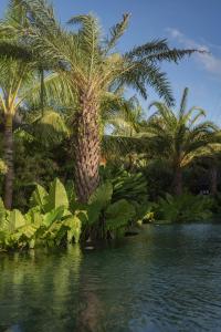 Nuju Uluwatu - Adults Only