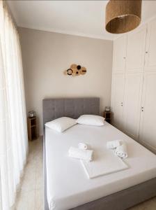 Casa Arco