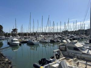 Duplex cosy près du port - 4 pers. - FR-1-481-199