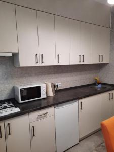 VIP квартира з двома спальнями на Рейтарській