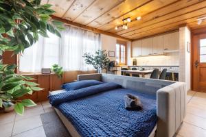 Alpine Hideaway near Brienz with Hot Tub & Parking