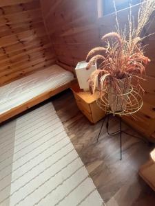 Domki Teo Piętrowe Parterowe I Apartamencik