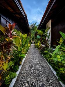 Surfer Paradise Villas Bali