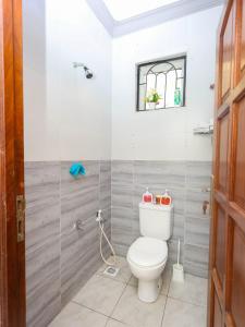 Oferta noclegów 16614981