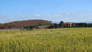 Vegan Home - Casale Sesamo & Mirto
