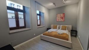 Grand Wawel Apartment Free Parking by CityBeat