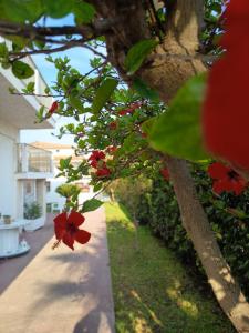 Summer Rooms Caucana