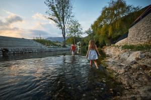 VIPAVA river house