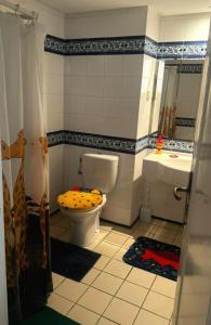Sonyloc hammamet