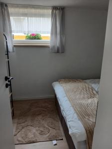 Apartmaji pri Pinku