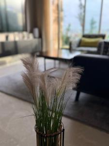 1BR Studio 10th floor, near CasaVoyageurs station, High WIFI, Self check in