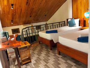AnBang Morning Glory Beach Homestay 호이안 안방비치 숙소호텔