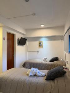 MS Hotel Campos 26