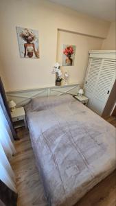 Dekart Apartment