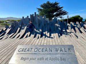 The Great Apollo Bay Retreat