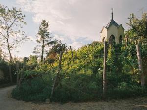 Holiday apartment in Werder