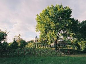 Holiday apartment in Werder