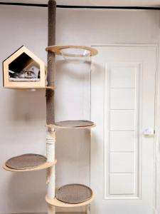 Ilbo Stay Seoul Homestay with Dog & Cat
