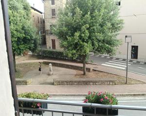 La terrazza del Papa