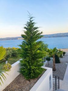 Villa More
