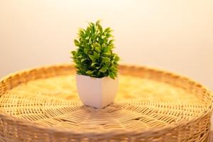 GuestReady - Apartment with terrace in Valencia