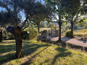 Villa Flaminio