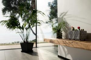 Corfu Dream Holidays Villas Ophira