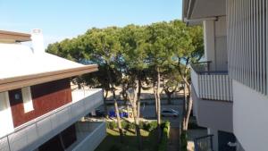 Cozy flat steps away from Lignanos golden beach
