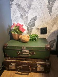 Apartament Strumykowa Old Town