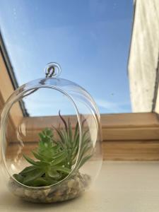 Central Luxus Apartment Free Private Parking