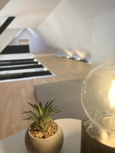 Central Luxus Apartment Free Private Parking