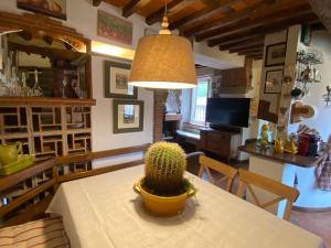 La Corte dei Limoni - Countryside Retreat
