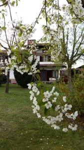 I 99 ulivi - 皮内罗洛