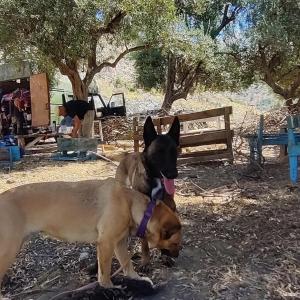 NeN Camping Lukova Beach