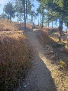 Almora Nainital-Kausani Highway Kosi Bazar