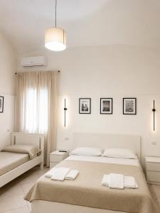 Casa Corallium