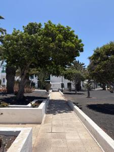 Oasis de César