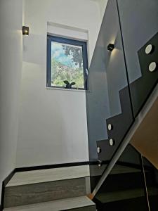 Villa Truman Klek