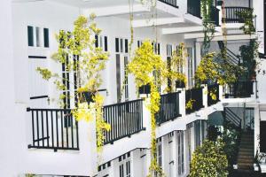 Lodge 52 Negombo