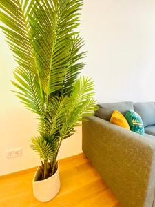Urban Chic Apartment w terrace&free parking