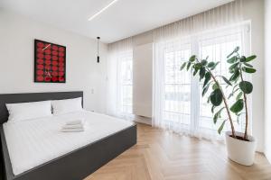 Rynek Jeżycki Modern Studio by BookingHost