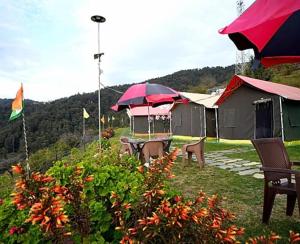 Camping in Chail