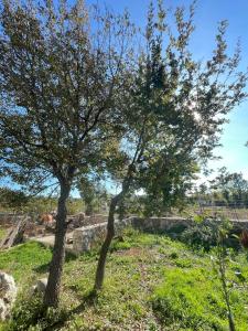 Zagora Nature Houses