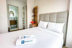 Elegant 2BR near to Real Plaza Salaverry - 1103